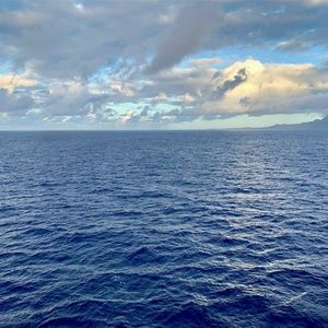 Meet your Posher, Candace